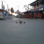 calle principal las terrenas
