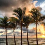 Actividades diciembre 2016, 2016, Dj Julio Rosario, lifestyle, Millenium, Cabarete, Flyers, Art, Design Dj julio Rosario