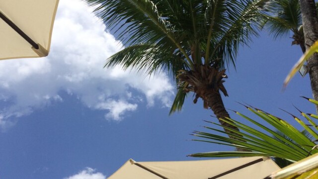 Eventos privados en las Terrenas, Samaná Dominican Republic wedding planing