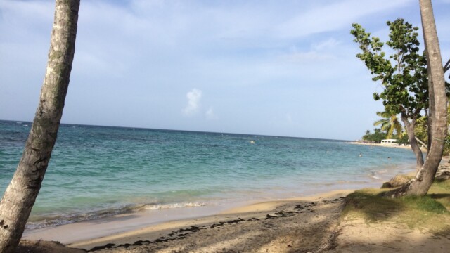 Visita en las Terrenas de Dj Julio Rosario, boda y fiestas en Babylon