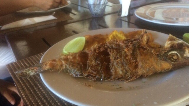 Visita en las Terrenas de Dj Julio Rosario, boda y fiestas en Babylon