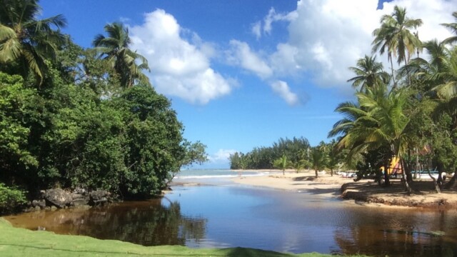 Private party las terrenas casa 21 Meilleur République Dominicaine dj