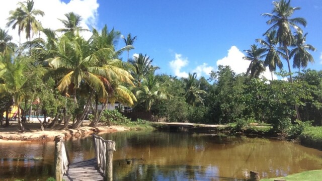 Private party las terrenas casa 21 Meilleur République Dominicaine dj