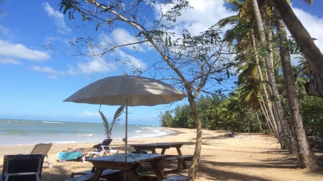 Private party las terrenas casa 21 Meilleur République Dominicaine dj