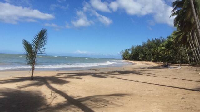 Private party las terrenas casa 21 Meilleur République Dominicaine dj