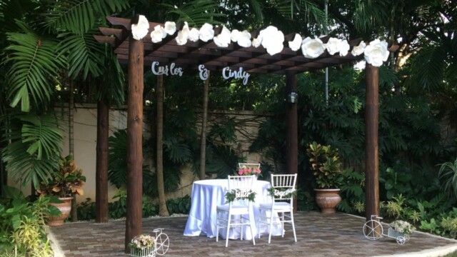 Meilleur dj dominicaine El Mejor Dj Dominicano