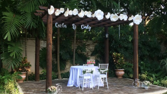 Meilleur dj dominicaine El Mejor Dj Dominicano