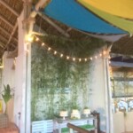 Die besten Dominikanische dj